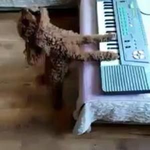 Meet your Posher, Marc